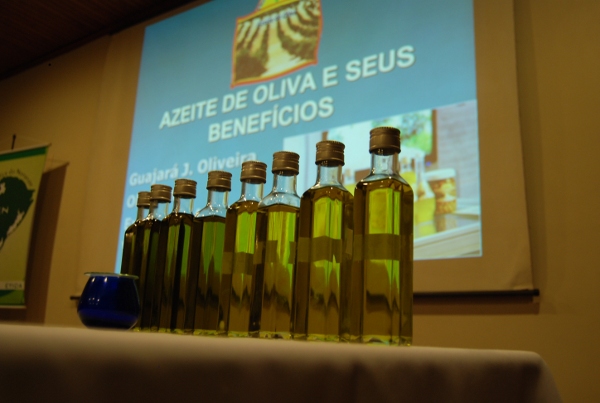 O Conselho Oleicola Internacional-COI envia dados do comércio de azeites e azeitonas a ARGOS O Conselho Oleicola Internacional-COI envia dados do comércio de azeites e azeitonas a ARGOS